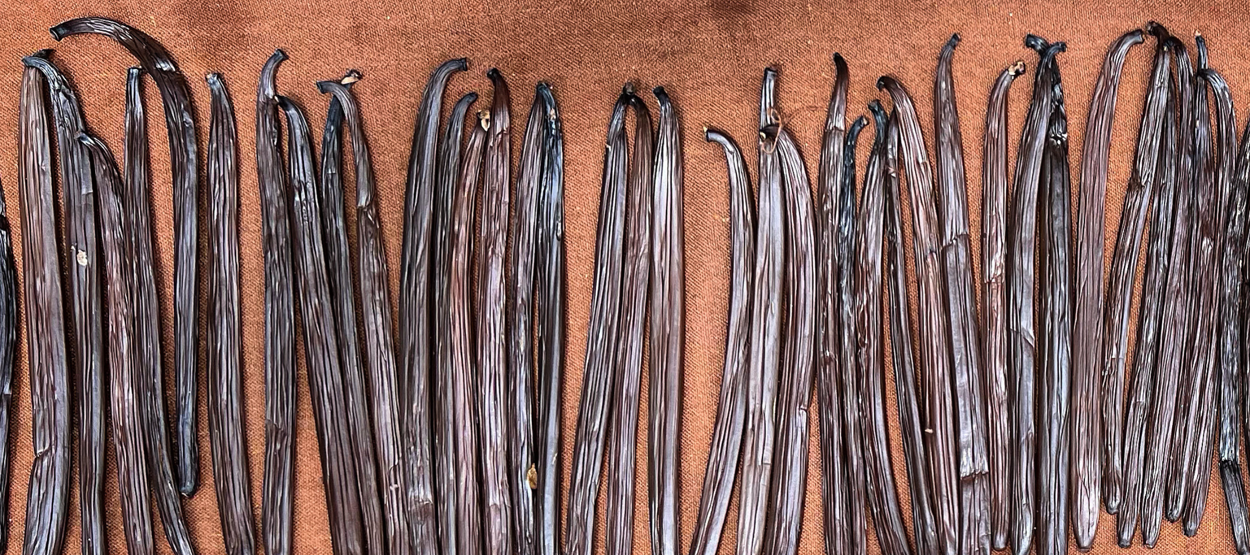 Kandy Spices single origin krydderier fra Sri Lanka